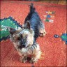 Jamy - 12 years