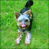 Diego - 13 month