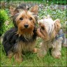 �Franzy� 6 �Jerry� 