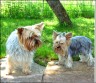 Fibi & Kesi