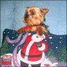 P�ppi - 13 years