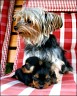 Cindy - with children