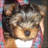 Quincy