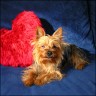 Gina - 3 1/2 years