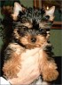Romy - 3 month