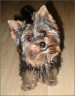 Kathy - 9 month
