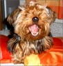 Babsi - 11 month