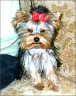 Amigo - 5 month