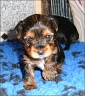 Byron - 3 1/2 weeks