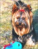 Willi - 4 years