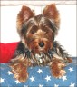 Rico - 12 month