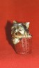 thm_yorkie44.jpg