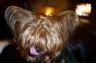 thm_galerie-neu-124.jpg