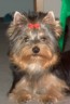 thm_galerie-neu-165.jpg