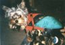 thm_galerie-neu-31.jpg