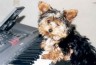 thm_galerie-neu-53.jpg