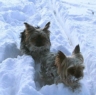 thm_galerie-neu-63.jpg