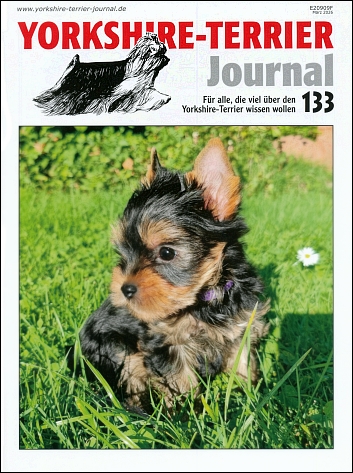 Yorkshire-Terreir-Journal 133
