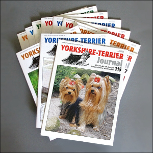 ABO Yorkshire-Terrier-Journal
