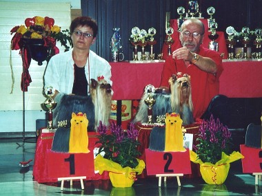 2. Ausstellungsbild 20