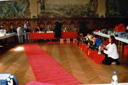 Ausstellungs-Saal