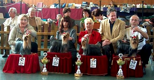 Spezialzuchtschau in Montabaur 2. Tag