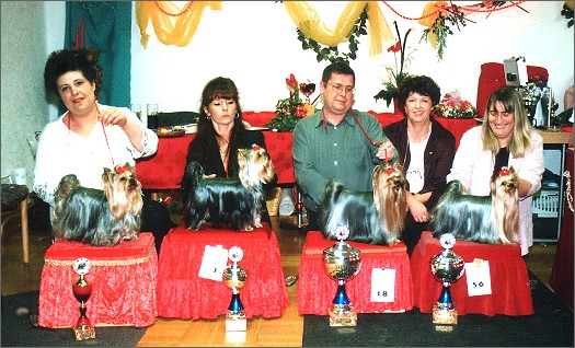 1.DYC Spezialzuchtschau in Niedererbach