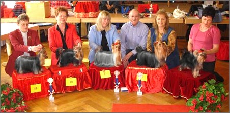 1.DYC-Spezialzuchtschau Lampertheim 2004