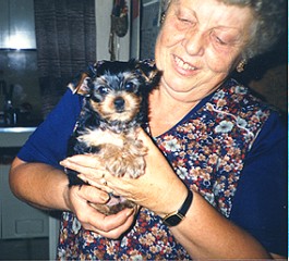The Yorkie and his special relation to elder people
