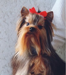 Cherie...