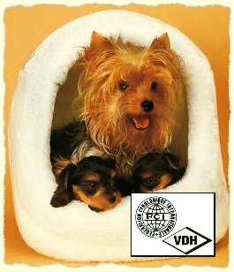 Warum die Papiere so wichtig sind!