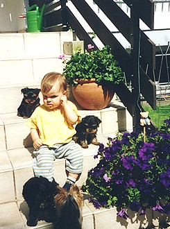 Ausserdem noch in YTJ 34