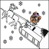 Weihnachtsgeschichte