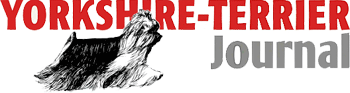 Yorkshire-Terrier-Journal.de