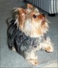 Molly