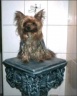 Zsa Zsa Bings