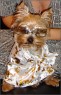 Alf
