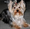Lilly