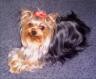 Romy