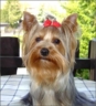Carmen