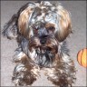 Selly - 2 Jahre