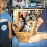 Timmy - 10 Wochen