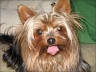 Larry (5 Jahre)