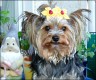 Bandit - 2 Jahre