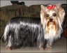 Adelina - 1 1/2 Jahre
