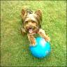 Dustin - 2 Jahre