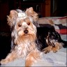 Candy - 13 Monate