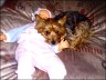 Rocky - 9 Jahre