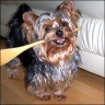 Shorty - 2 Jahre