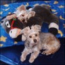 Charly & Candy